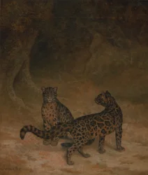 Pilviset leopardit